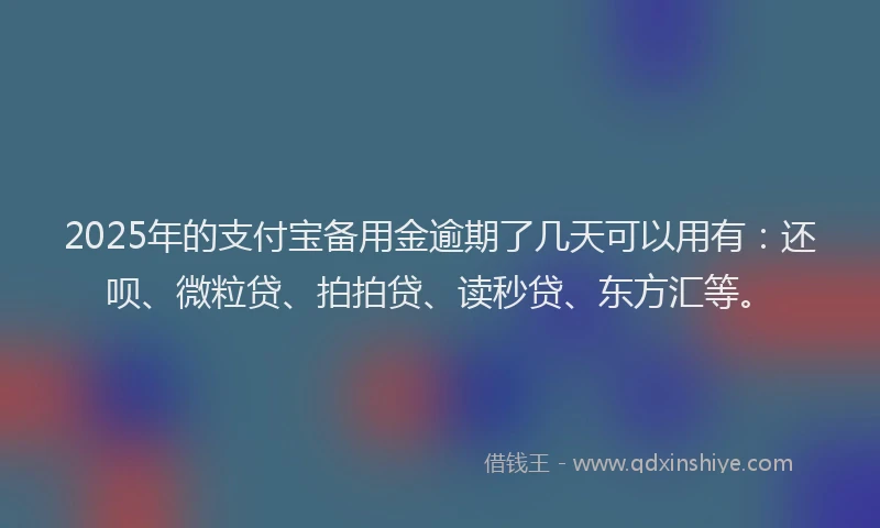 2025年的支付宝备用金逾期了几天可以用有：还呗、微粒贷、拍拍贷、读秒贷、东方汇等。