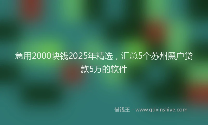 急用2000块钱2025年精选，汇总5个苏州黑户贷款5万的软件
