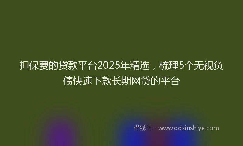 担保费的贷款平台2025年精选，梳理5个无视负债快速下款长期网贷的平台