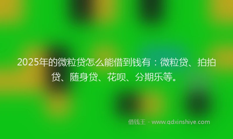 2025年的微粒贷怎么能借到钱有：微粒贷、拍拍贷、随身贷、花呗、分期乐等。