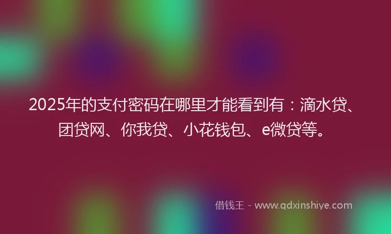 2025年的支付密码在哪里才能看到有：滴水贷、团贷网、你我贷、小花钱包、e微贷等。