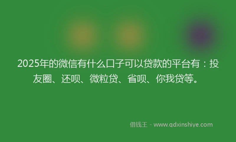 2025年的微信有什么口子可以贷款的平台有：投友圈、还呗、微粒贷、省呗、你我贷等。