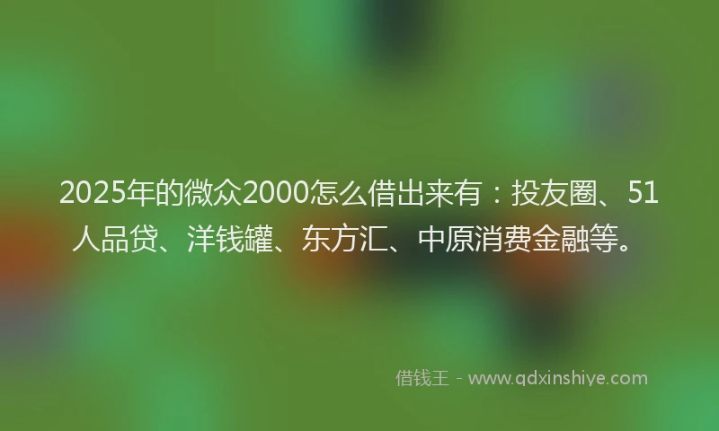 2025年的微众2000怎么借出来有：投友圈、51人品贷、洋钱罐、东方汇、中原消费金融等。
