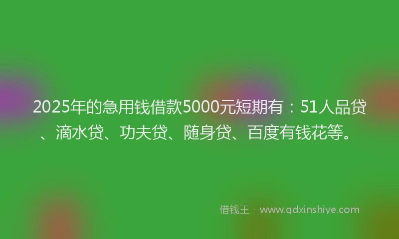 2025年的急用钱借款5000元短期有：51人品贷、滴水贷、功夫贷、随身贷、百度有钱花等。