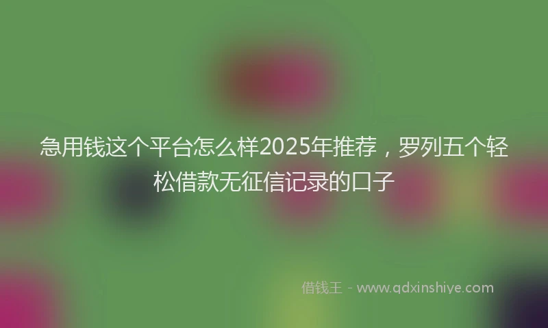 急用钱这个平台怎么样2025年推荐，罗列五个轻松借款无征信记录的口子
