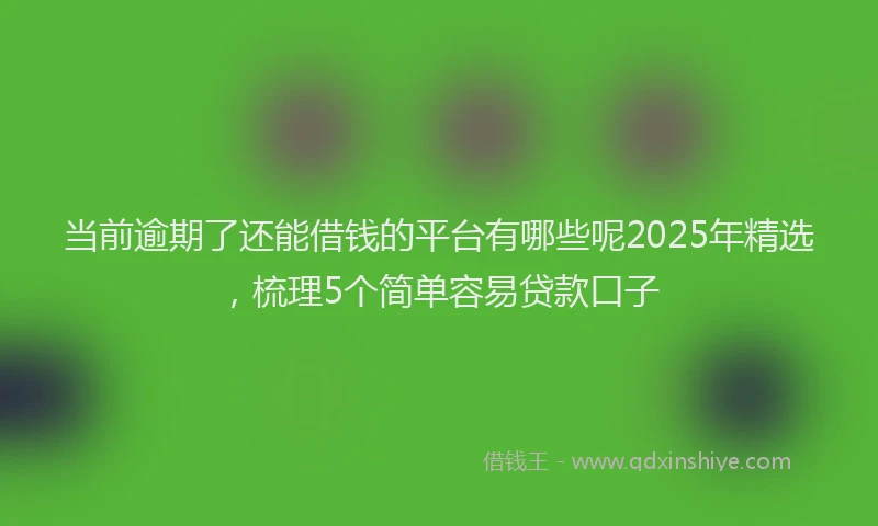 当前逾期了还能借钱的平台有哪些呢2025年精选，梳理5个简单容易贷款口子