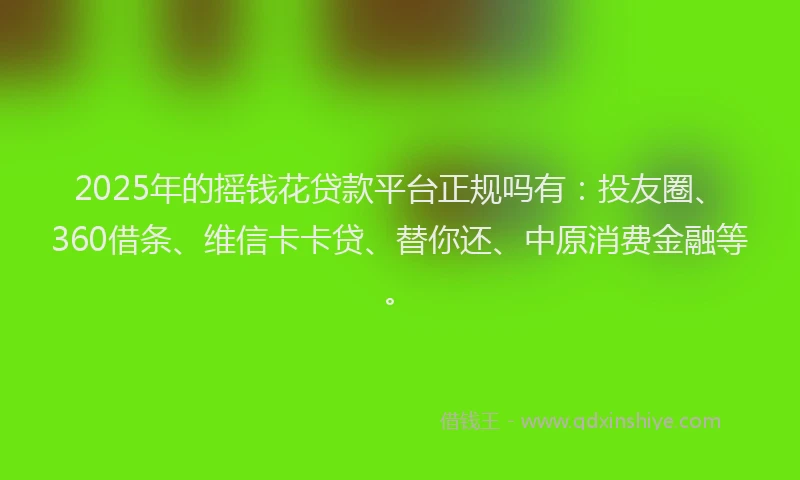 2025年的摇钱花贷款平台正规吗有：投友圈、360借条、维信卡卡贷、替你还、中原消费金融等。