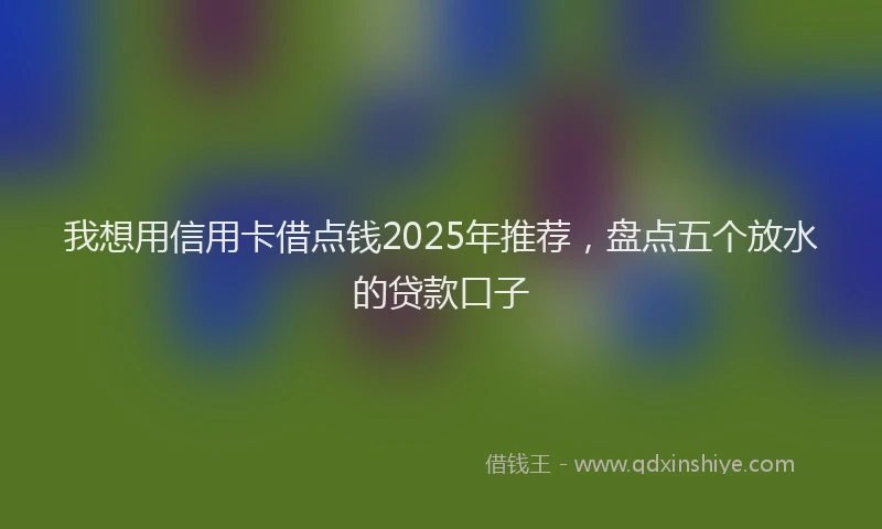我想用信用卡借点钱2025年推荐，盘点五个放水的贷款口子