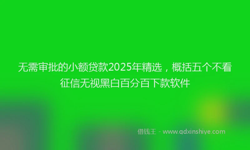无需审批的小额贷款2025年精选，概括五个不看征信无视黑白百分百下款软件