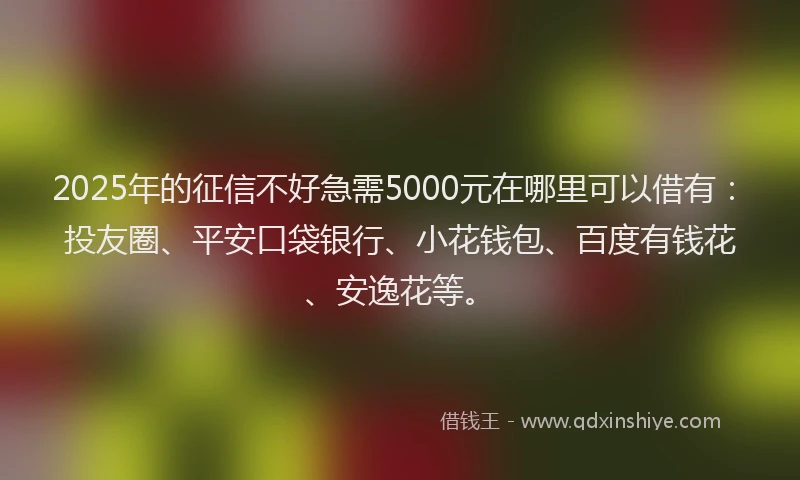 2025年的征信不好急需5000元在哪里可以借有：投友圈、平安口袋银行、小花钱包、百度有钱花、安逸花等。