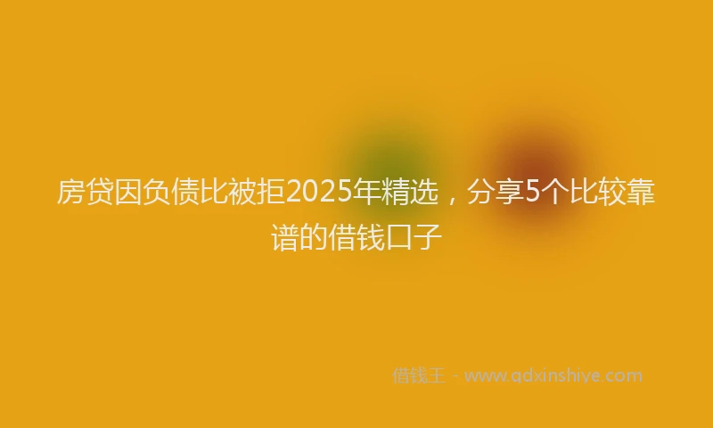 房贷因负债比被拒2025年精选，分享5个比较靠谱的借钱口子
