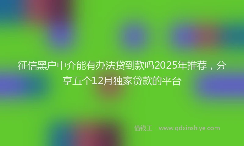 征信黑户中介能有办法贷到款吗2025年推荐，分享五个12月独家贷款的平台
