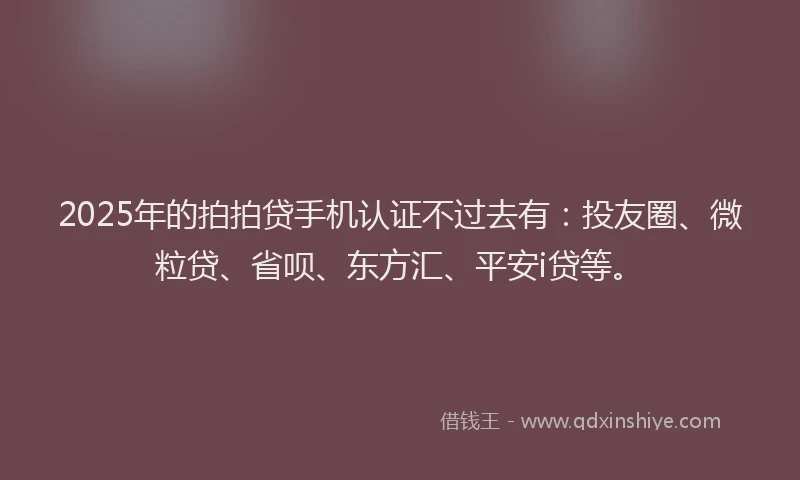 2025年的拍拍贷手机认证不过去有：投友圈、微粒贷、省呗、东方汇、平安i贷等。