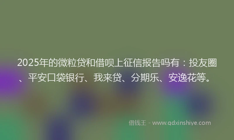 2025年的微粒贷和借呗上征信报告吗有：投友圈、平安口袋银行、我来贷、分期乐、安逸花等。