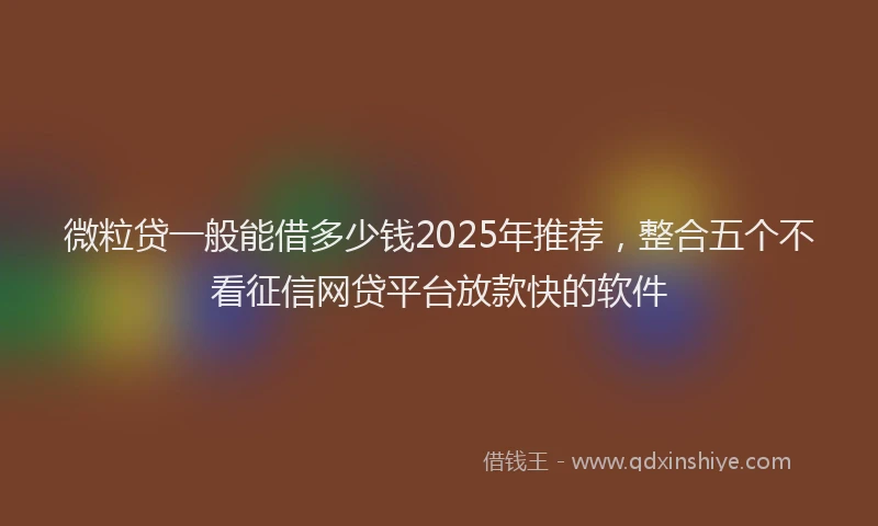 微粒贷一般能借多少钱2025年推荐，整合五个不看征信网贷平台放款快的软件