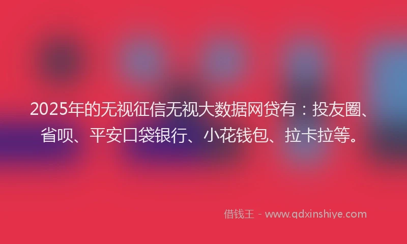 2025年的无视征信无视大数据网贷有：投友圈、省呗、平安口袋银行、小花钱包、拉卡拉等。