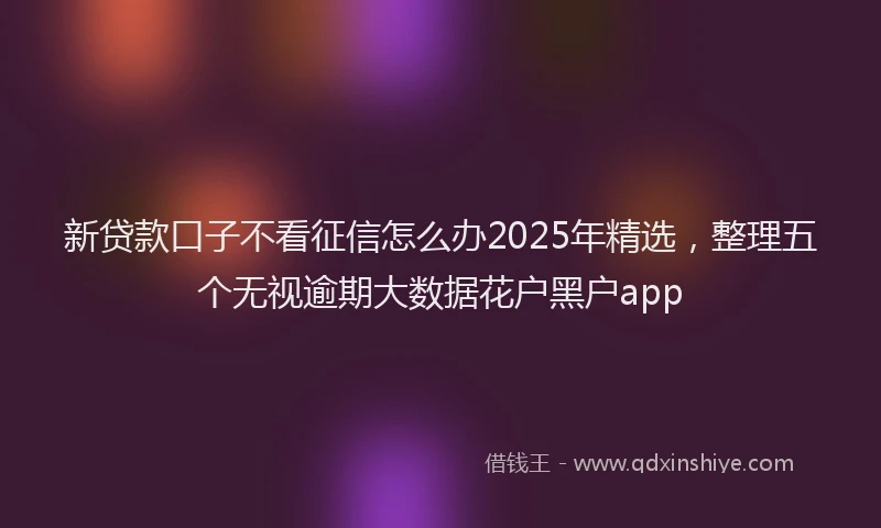 新贷款口子不看征信怎么办2025年精选，整理五个无视逾期大数据花户黑户app