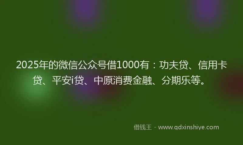 2025年的微信公众号借1000有：功夫贷、信用卡贷、平安i贷、中原消费金融、分期乐等。