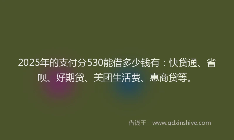 2025年的支付分530能借多少钱有：快贷通、省呗、好期贷、美团生活费、惠商贷等。