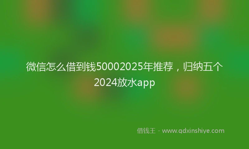 微信怎么借到钱50002025年推荐，归纳五个2024放水app