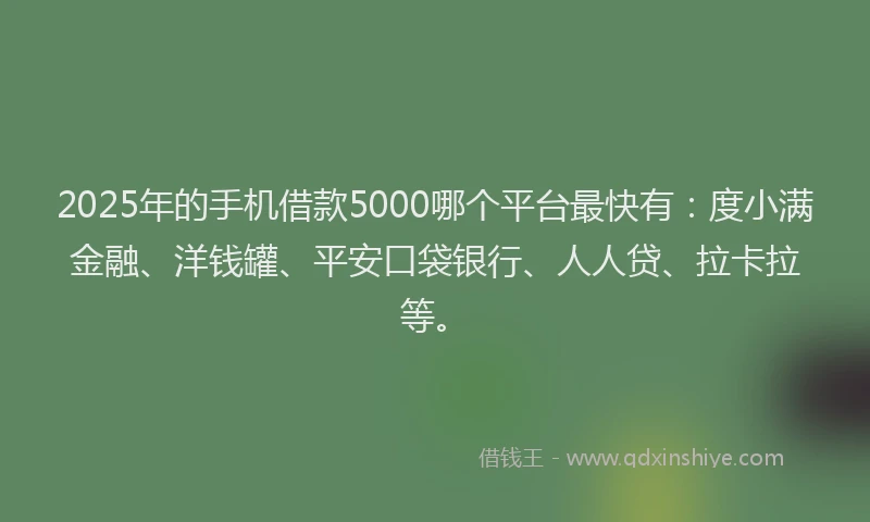 2025年的手机借款5000哪个平台最快有：度小满金融、洋钱罐、平安口袋银行、人人贷、拉卡拉等。