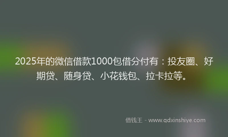 2025年的微信借款1000包借分付有：投友圈、好期贷、随身贷、小花钱包、拉卡拉等。
