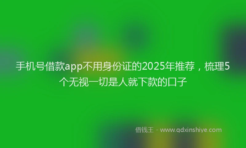 手机号借款app不用身份证的2025年推荐，梳理5个无视一切是人就下款的口子