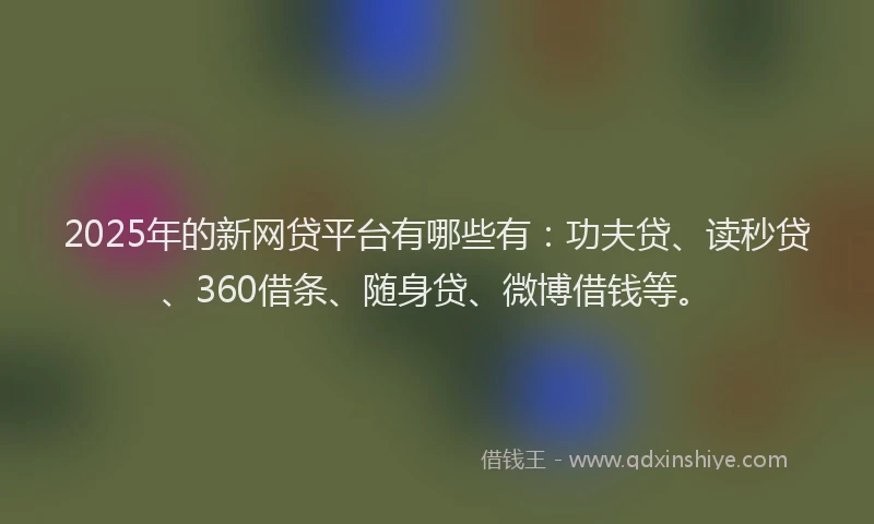 2025年的新网贷平台有哪些有：功夫贷、读秒贷、360借条、随身贷、微博借钱等。