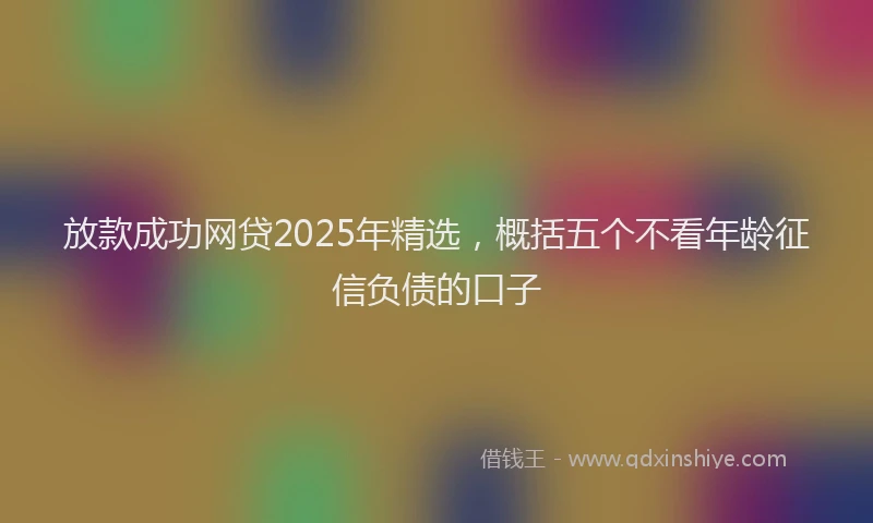 放款成功网贷2025年精选，概括五个不看年龄征信负债的口子