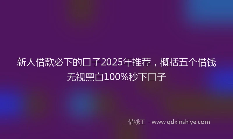 新人借款必下的口子2025年推荐，概括五个借钱无视黑白100%秒下口子