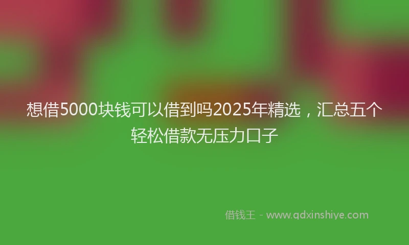 想借5000块钱可以借到吗2025年精选，汇总五个轻松借款无压力口子