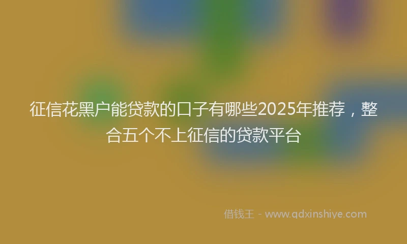 征信花黑户能贷款的口子有哪些2025年推荐，整合五个不上征信的贷款平台