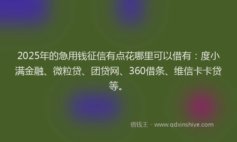 2025年的急用钱征信有点花哪里可以借有：度小满金融、微粒贷、团贷网、360借条、维信卡卡贷等。