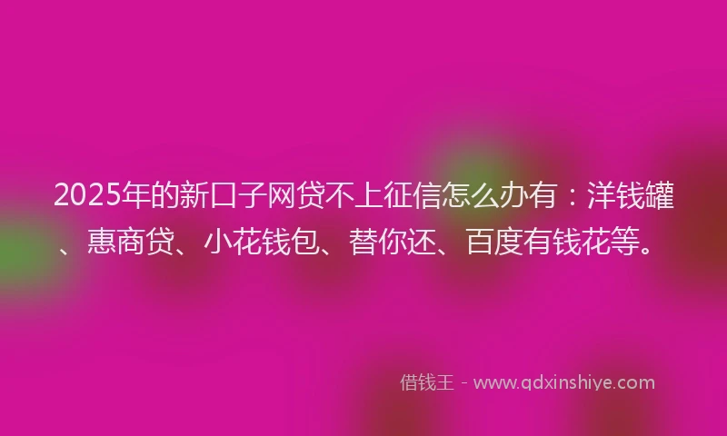 2025年的新口子网贷不上征信怎么办有：洋钱罐、惠商贷、小花钱包、替你还、百度有钱花等。