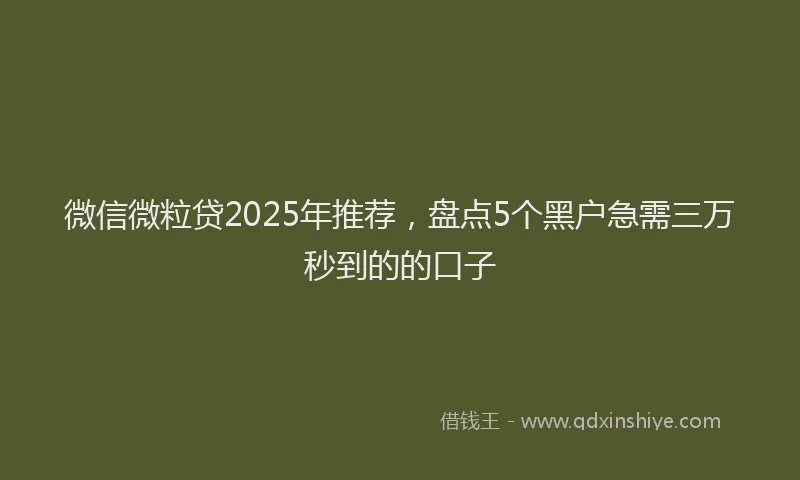 微信微粒贷2025年推荐，盘点5个黑户急需三万秒到的的口子