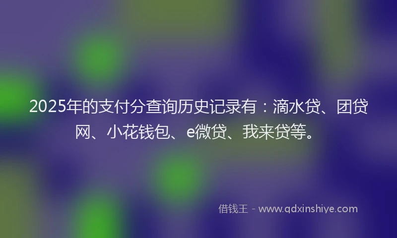 2025年的支付分查询历史记录有：滴水贷、团贷网、小花钱包、e微贷、我来贷等。