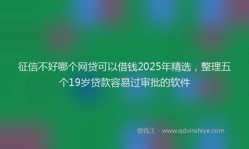 征信不好哪个网贷可以借钱2025年精选，整理五个19岁贷款容易过审批的软件