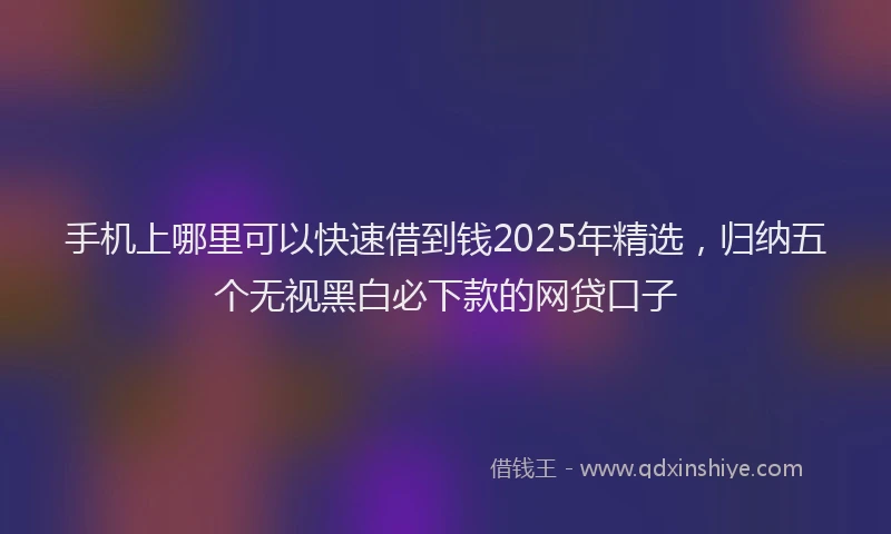 手机上哪里可以快速借到钱2025年精选，归纳五个无视黑白必下款的网贷口子