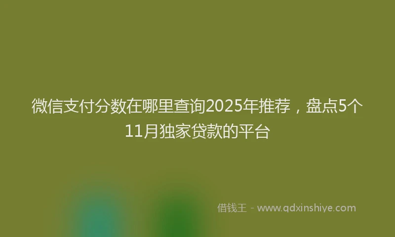 微信支付分数在哪里查询2025年推荐，盘点5个11月独家贷款的平台