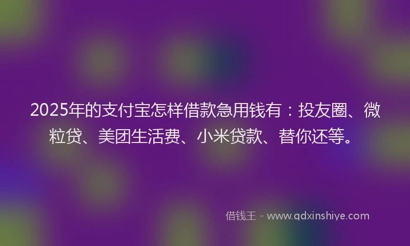 2025年的支付宝怎样借款急用钱有：投友圈、微粒贷、美团生活费、小米贷款、替你还等。