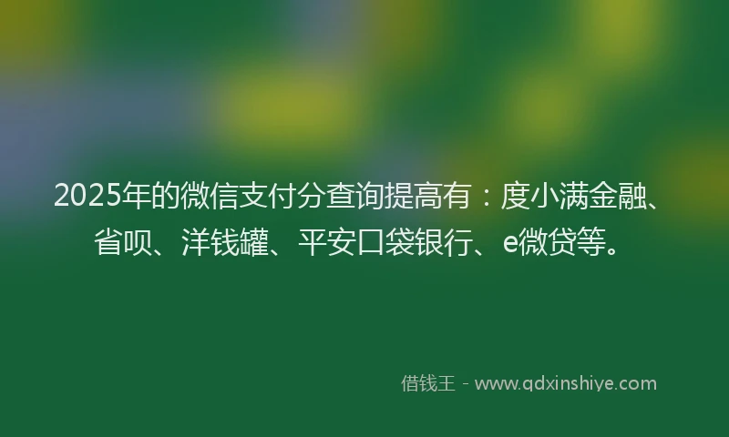 2025年的微信支付分查询提高有：度小满金融、省呗、洋钱罐、平安口袋银行、e微贷等。