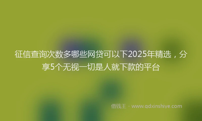 征信查询次数多哪些网贷可以下2025年精选，分享5个无视一切是人就下款的平台