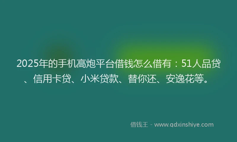2025年的手机高炮平台借钱怎么借有：51人品贷、信用卡贷、小米贷款、替你还、安逸花等。