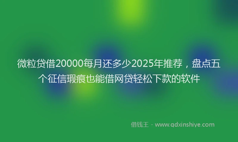 微粒贷借20000每月还多少2025年推荐，盘点五个征信瑕疵也能借网贷轻松下款的软件