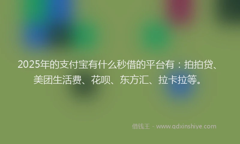 2025年的支付宝有什么秒借的平台有：拍拍贷、美团生活费、花呗、东方汇、拉卡拉等。