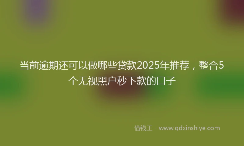 当前逾期还可以做哪些贷款2025年推荐，整合5个无视黑户秒下款的口子