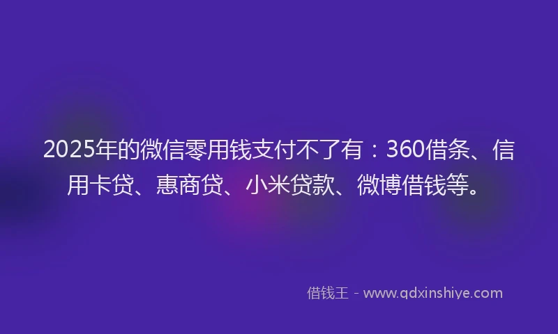 2025年的微信零用钱支付不了有：360借条、信用卡贷、惠商贷、小米贷款、微博借钱等。