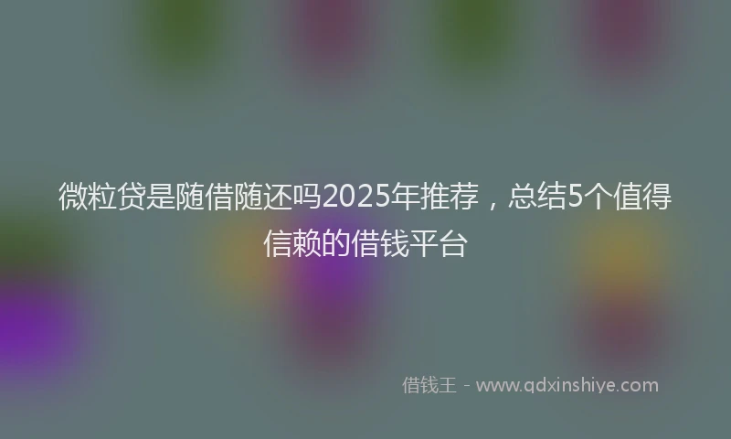 微粒贷是随借随还吗2025年推荐，总结5个值得信赖的借钱平台