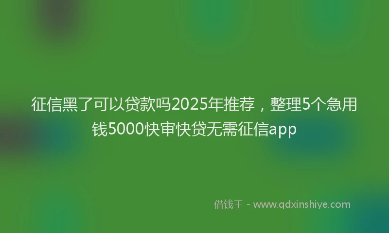 征信黑了可以贷款吗2025年推荐，整理5个急用钱5000快审快贷无需征信app