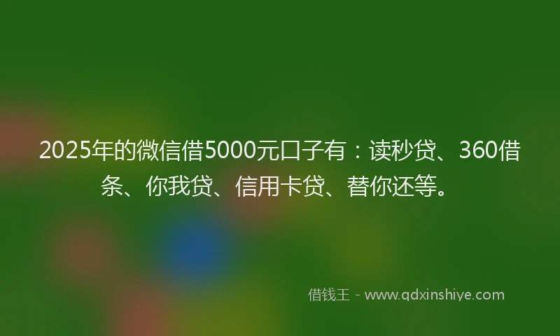 2025年的微信借5000元口子有：读秒贷、360借条、你我贷、信用卡贷、替你还等。